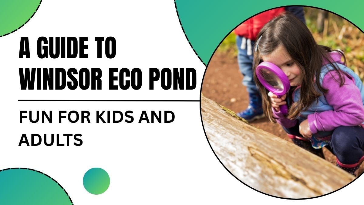 A Guide to Windsor Eco Pond: Fun for Kids and Adults