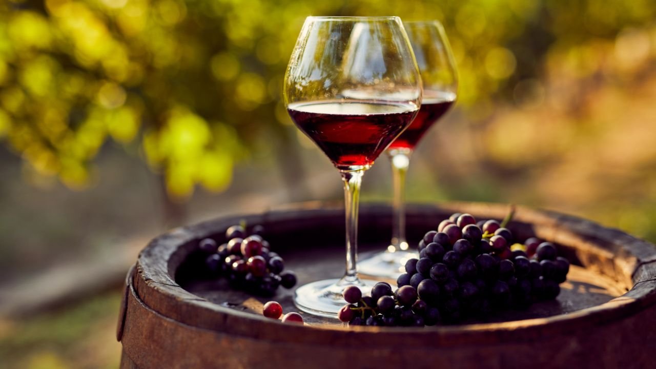 The Complete Beginner’s Guide to Understanding Wine