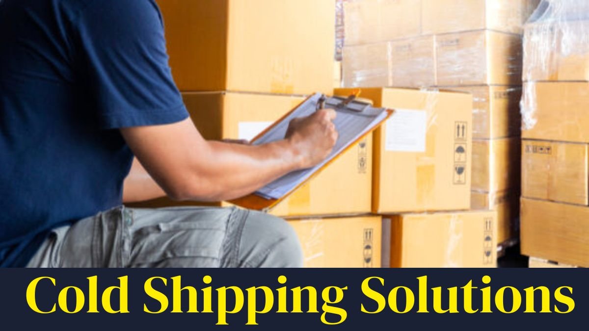 The Complete Guide to Cold Shipping Solutions for Businesses